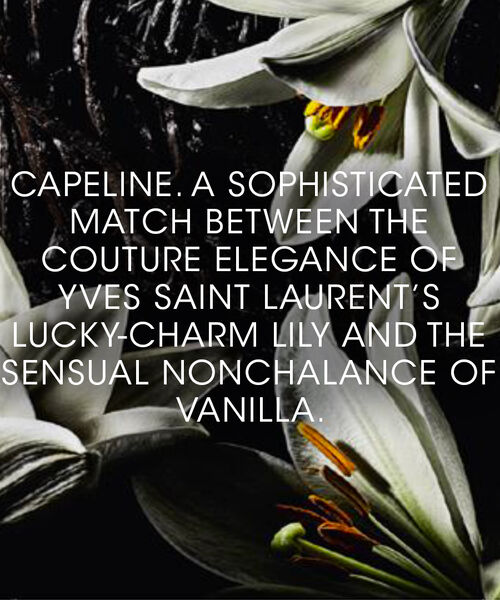 Capeline Le Vestiaire Des Parfums