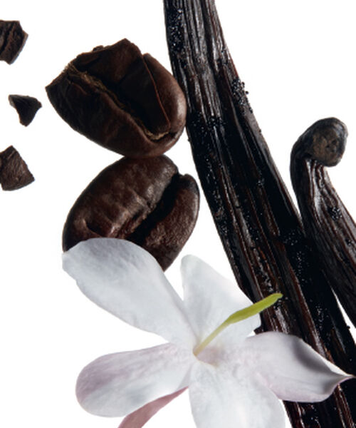 عطر بلاك أوبيوم