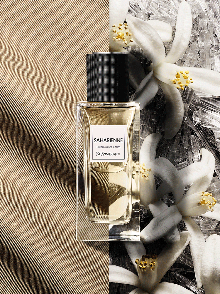 Saharienne ysl best sale