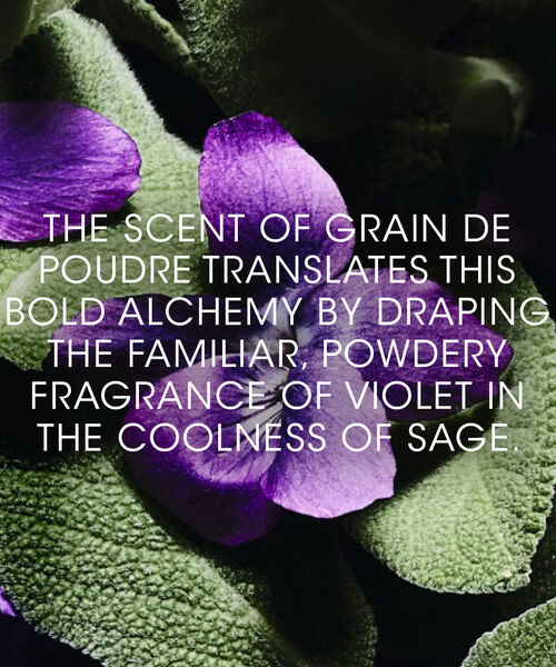 Grain De Poudre Le Vestiaire Des Parfums