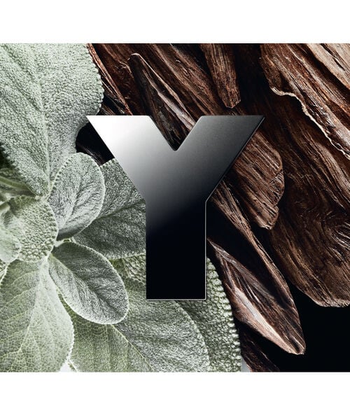 Y Eau De Parfum