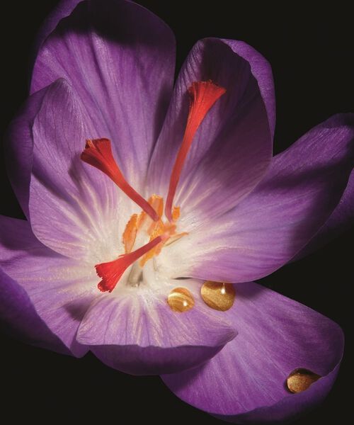 OR ROUGE Crème Fine