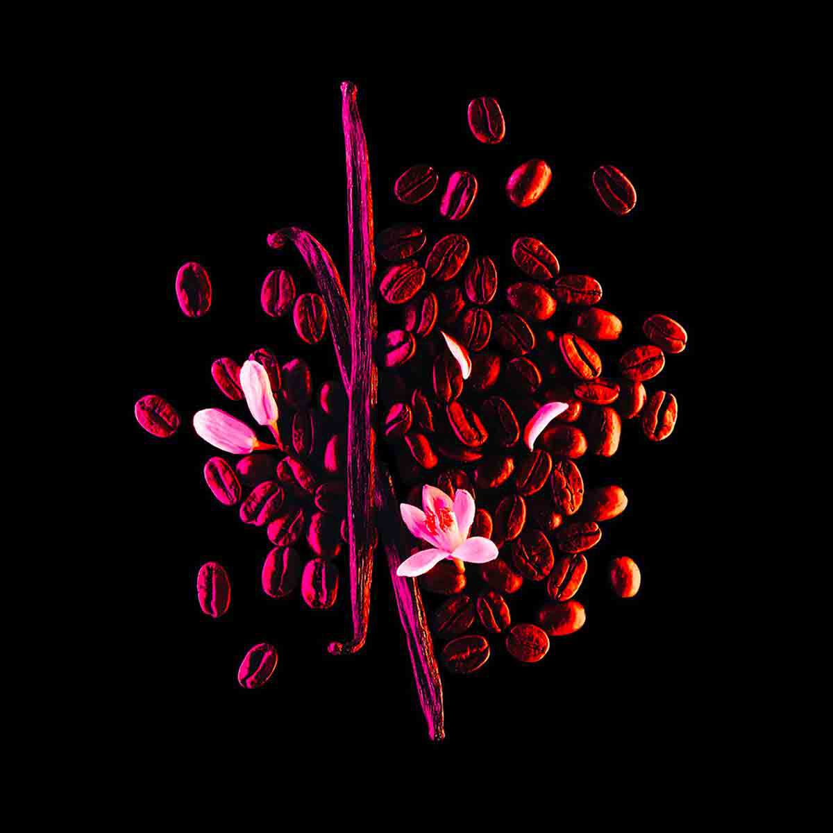 Black opium storm sales