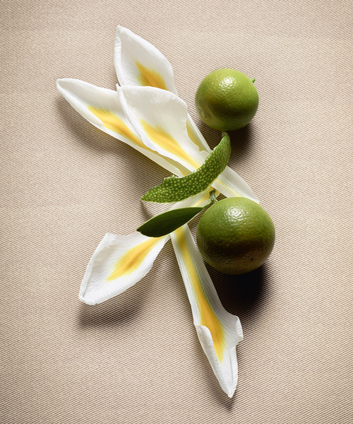 عطر ترنش