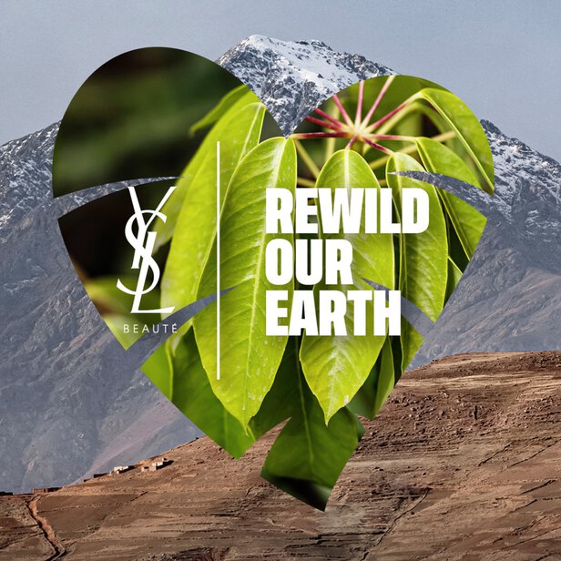 Rewild our earth
