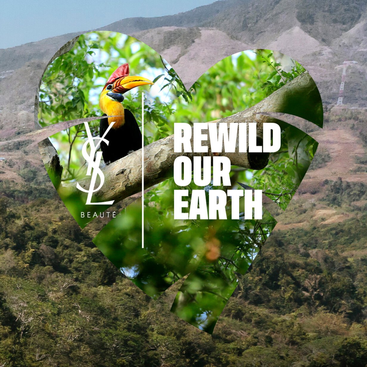 Rewild our earth