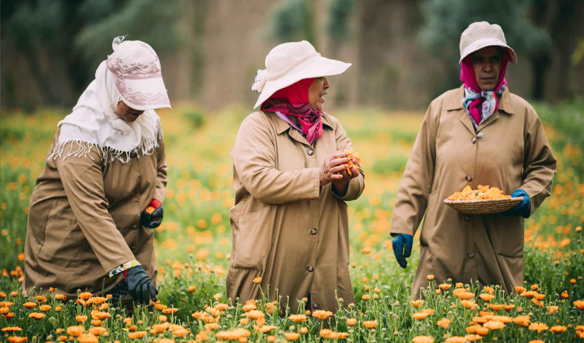 Ourika Community Gardens